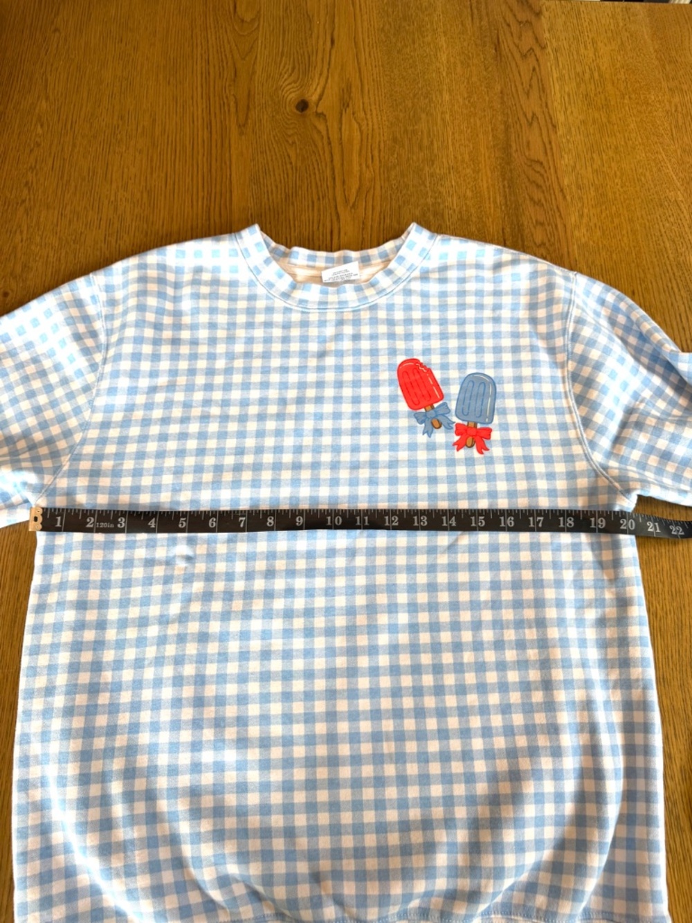 NWOT Living Fully Co Gingham Lightweight Sweatshirt Blue White Popsicle Top S - Picture 3 of 11